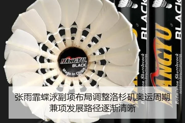 张雨霏蝶泳副项布局调整洛杉矶奥运周期兼项发展路径逐渐清晰