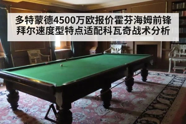 多特蒙德4500万欧报价霍芬海姆前锋拜尔速度型特点适配科瓦奇战术分析