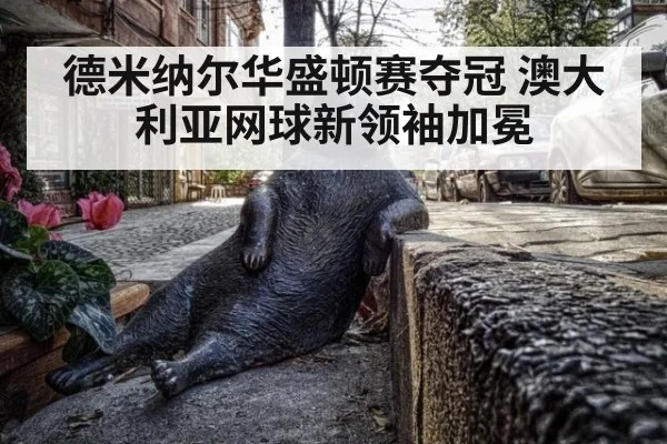 德米纳尔华盛顿赛夺冠 澳大利亚网球新领袖加冕
